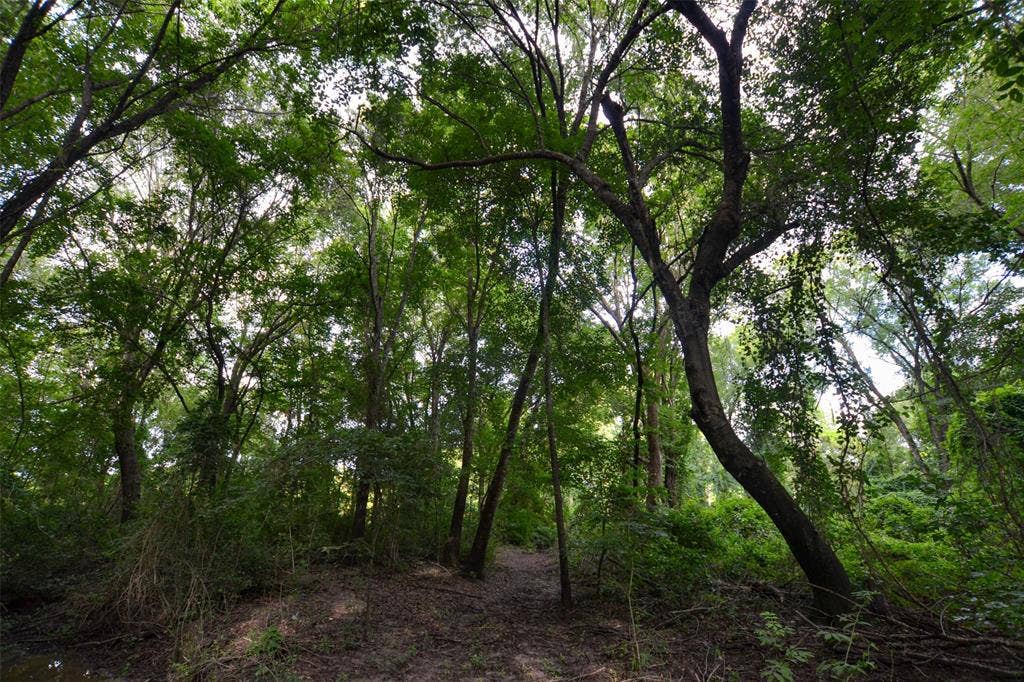 8690 County Road 1119, Athens, TX 75751 8690 County Road 1119, Athens, TX 75751