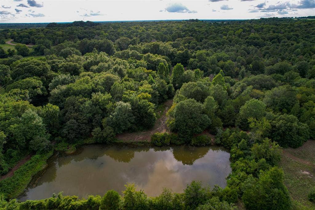 8690 County Road 1119, Athens, TX 75751 8690 County Road 1119, Athens, TX 75751