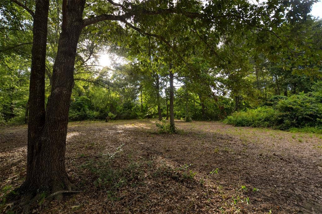 8690 County Road 1119, Athens, TX 75751 8690 County Road 1119, Athens, TX 75751