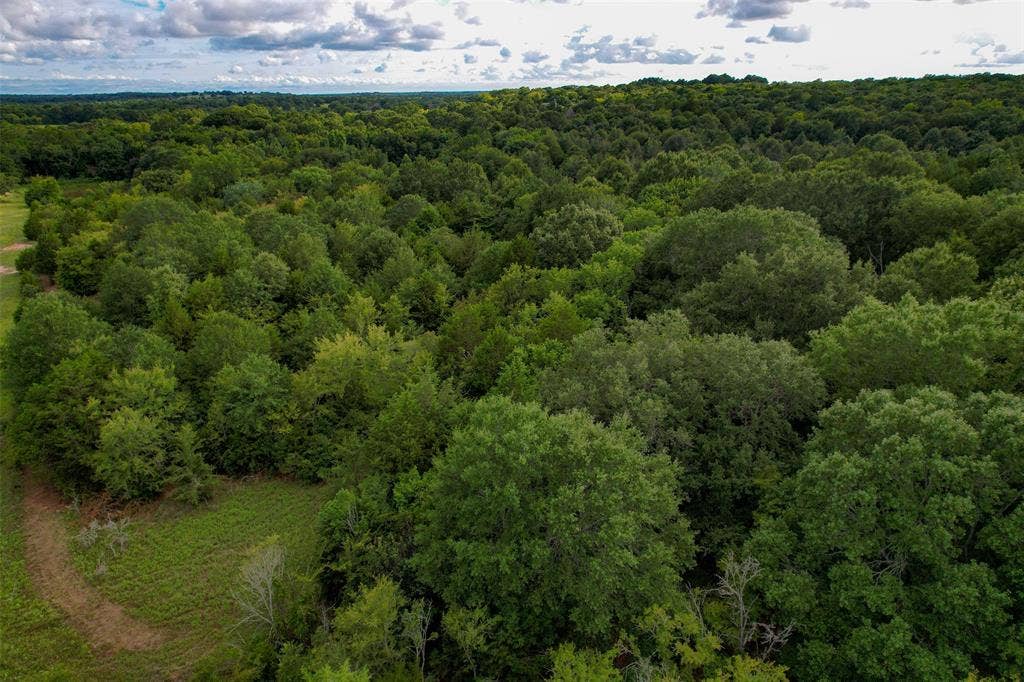 8690 County Road 1119, Athens, TX 75751 8690 County Road 1119, Athens, TX 75751