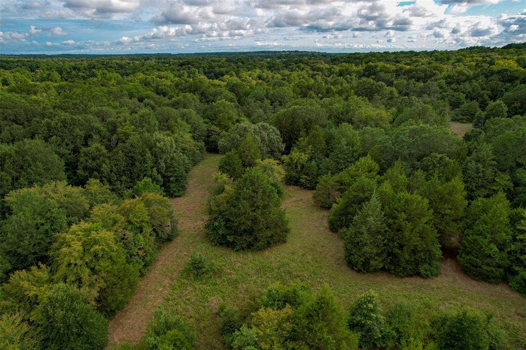 8690 County Road 1119, Athens, TX 75751 8690 County Road 1119, Athens, TX 75751