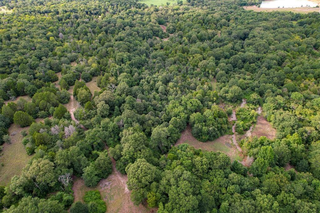 8690 County Road 1119, Athens, TX 75751 8690 County Road 1119, Athens, TX 75751