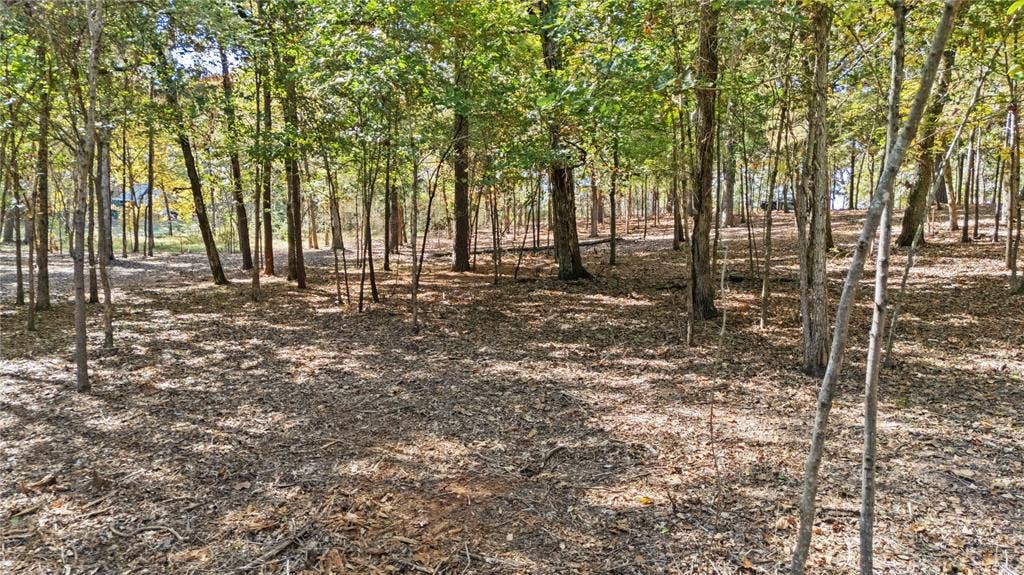 14639 Harbor Way, Flint, TX 75762 14639 Harbor Way, Flint, TX 75762