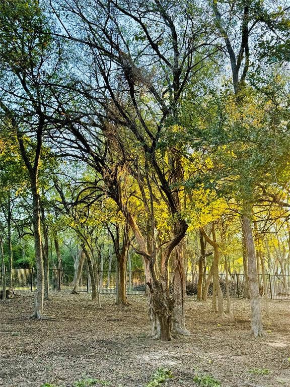 Wooded acreage featuring a variety of mature trees and a perimeter fence