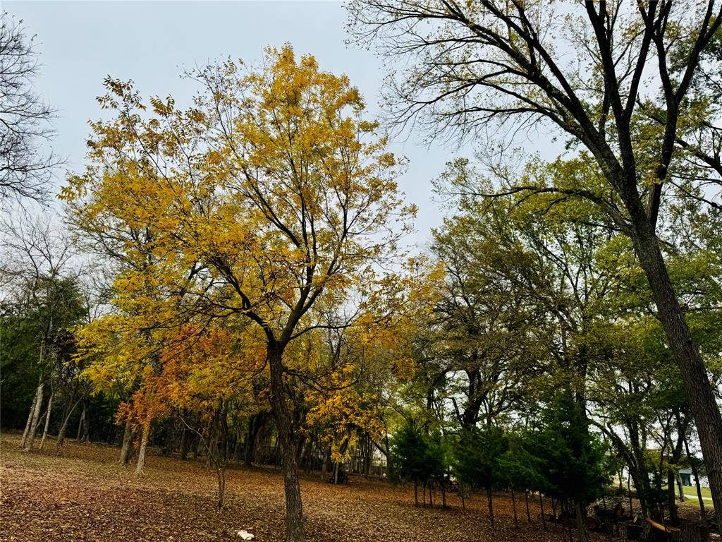 5631 Melrose Lane, Midlothian, TX 76065