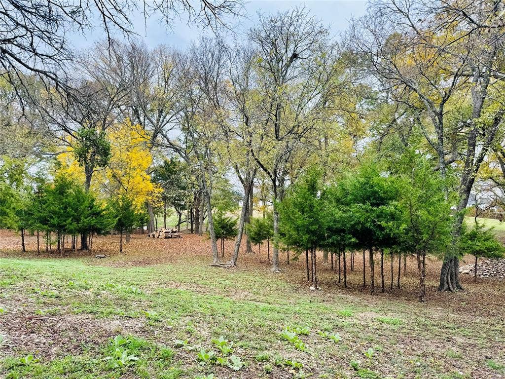Expansive wooded lot featuring mature deciduous trees and evergreen plantings