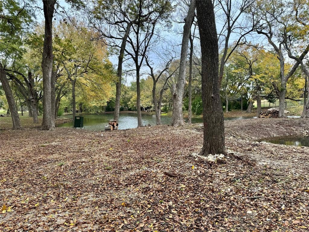 Natural landscape featuring a pond surrounded by mature deciduous trees