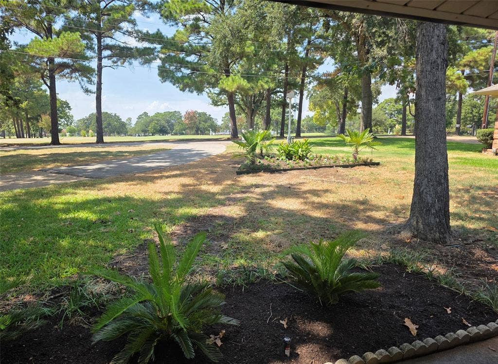 243 Shoreline Drive, Star Harbor, TX 75148 Fresh landscaping gives this home a tropical vibe that enhances the curb appeal of 243 Shoreline Dr.