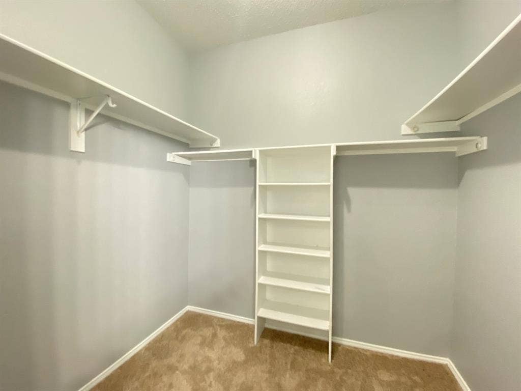 1328 Falcon Hollow, Cedar Hill, TX 75104 Walk-in closet featuring built-in shelving, hanging rods, and carpet flooring
