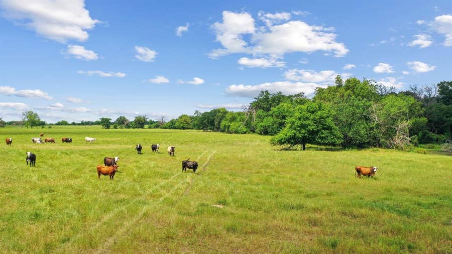 Property photo for 1080 Grand Oaks Ranch Road, Greenville, TX