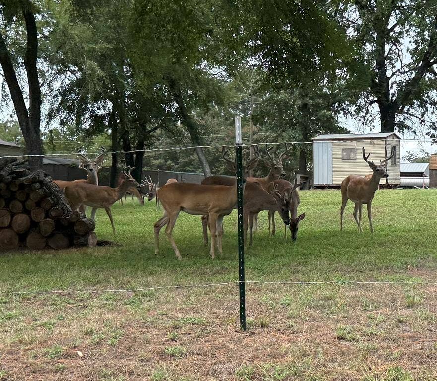 18251 Rocky Point Run, Mabank, TX 75156 18251 Rocky Point Run, Mabank, TX 75156