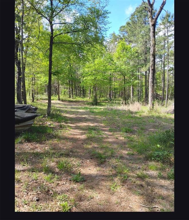 Property photo for TBD State Hwy 19, Huntsville, TX