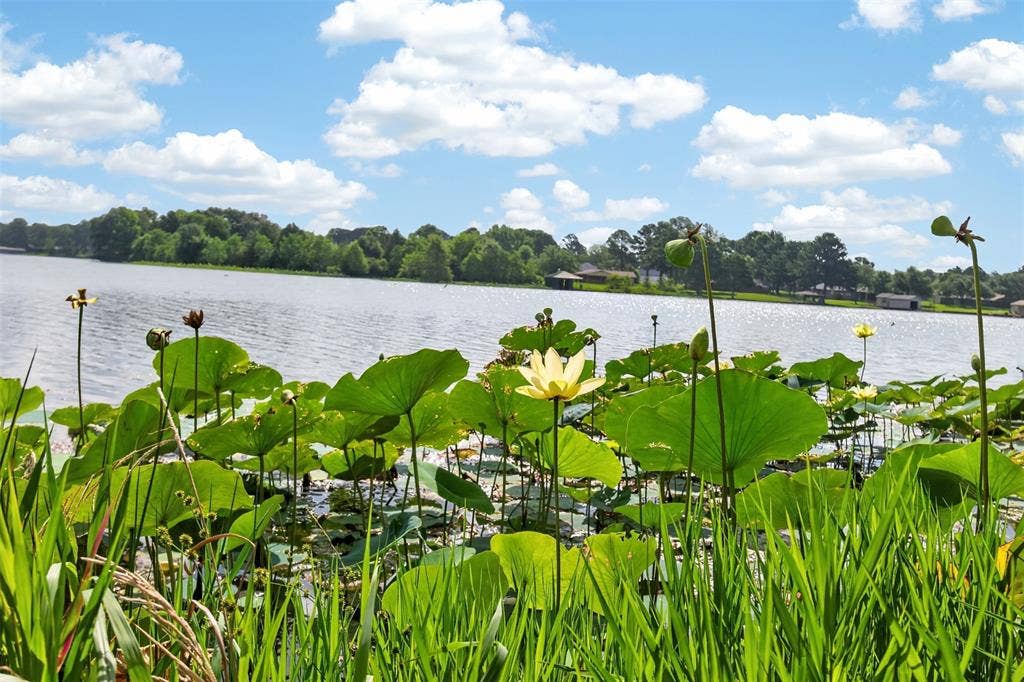 12075 W Lake Drive, Murchison, TX 75778 12075 W Lake Drive, Murchison, TX 75778