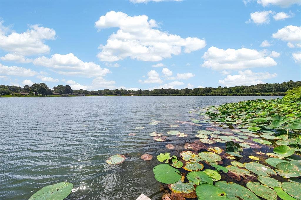 12075 W Lake Drive, Murchison, TX 75778 12075 W Lake Drive, Murchison, TX 75778