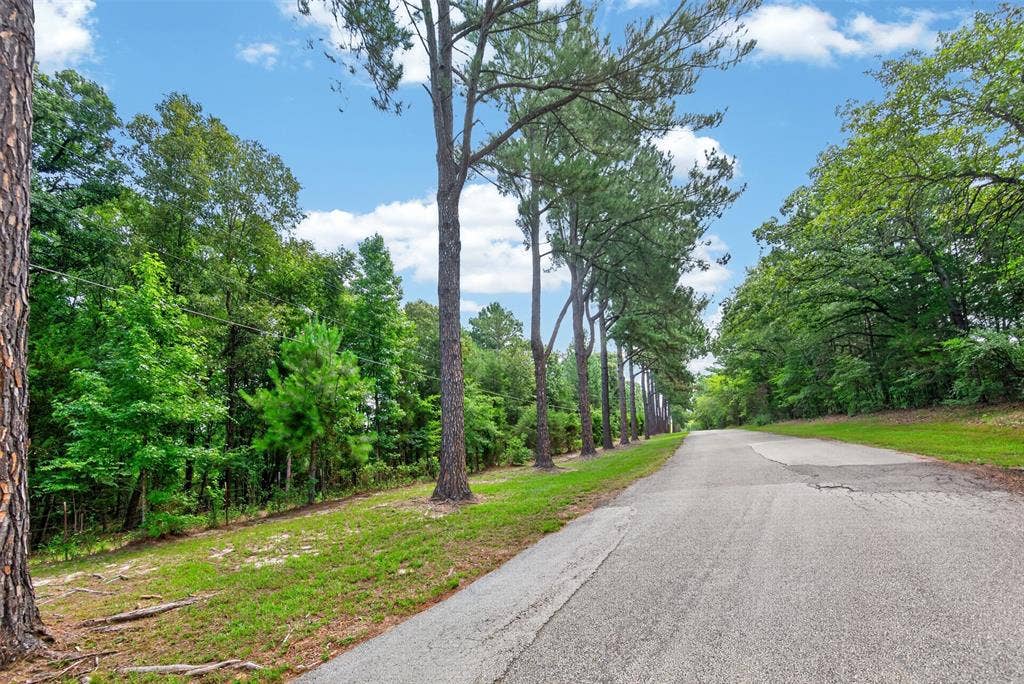 12075 W Lake Drive, Murchison, TX 75778 12075 W Lake Drive, Murchison, TX 75778