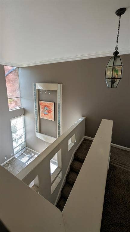 556 E Avenue J, #B, Grand Prairie, TX 75050 556 E Avenue J, #B, Grand Prairie, TX 75050