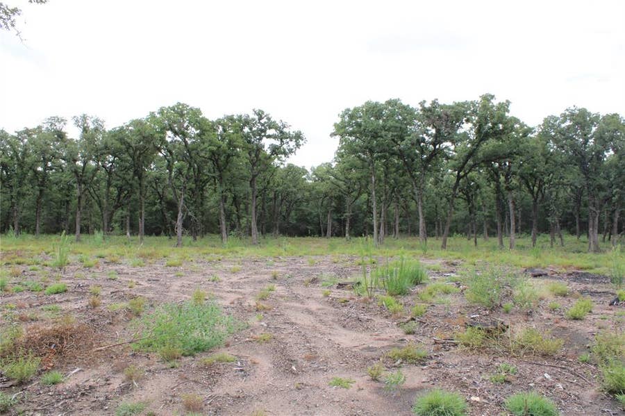 Property photo for TBD Tokio Loop, West, TX