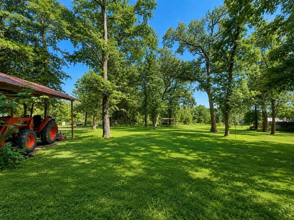 7761 Fm 2494, Athens, TX 75751 Expansive green lawn surrounded by mature trees, offering a private outdoor environment
