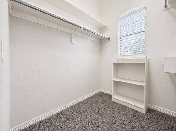 Spacious closet featuring wall-mounted shelving and hanging rods