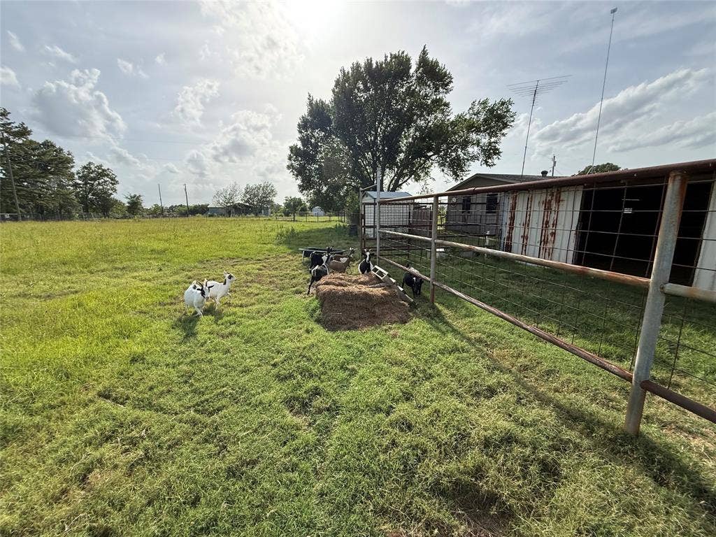 13658 Woodridge, Eustace, TX 75124 13658 Woodridge, Eustace, TX 75124
