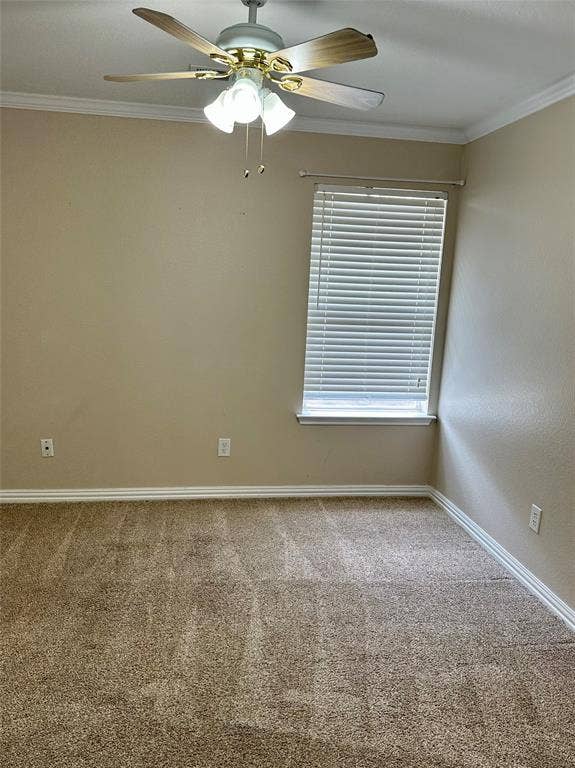 210 Windsor, Forney, TX 75126 210 Windsor, Forney, TX 75126