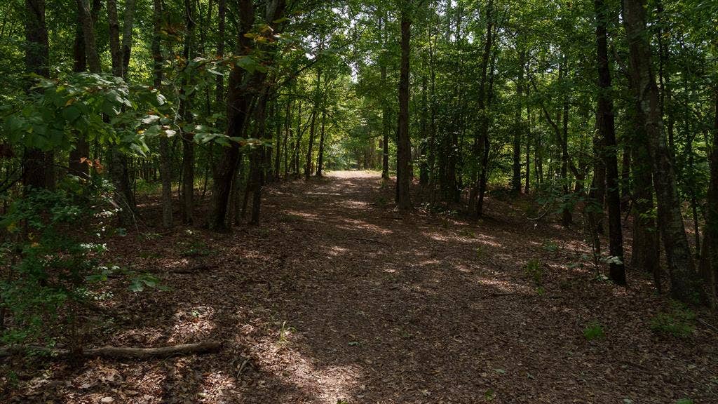 TBD CR 246 S, Tyler, TX 75705 TBD CR 246 S, Tyler, TX 75705