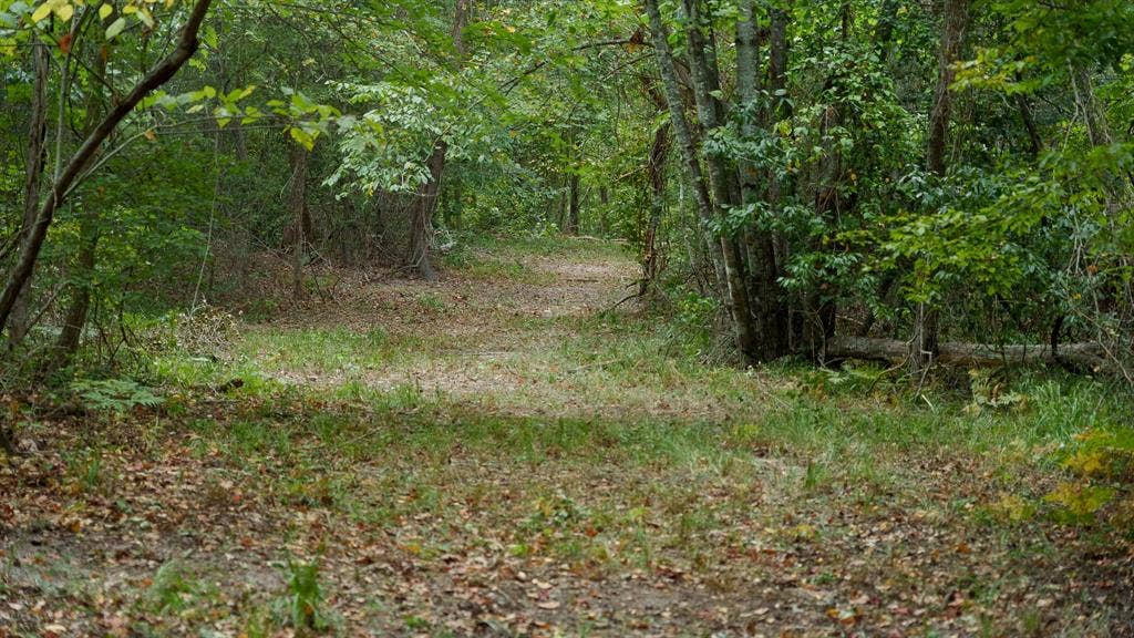 TBD CR 246 S, Tyler, TX 75705 TBD CR 246 S, Tyler, TX 75705