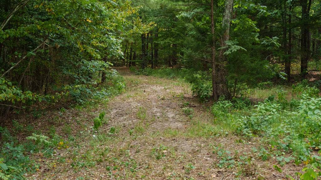 TBD CR 246 S, Tyler, TX 75705 TBD CR 246 S, Tyler, TX 75705