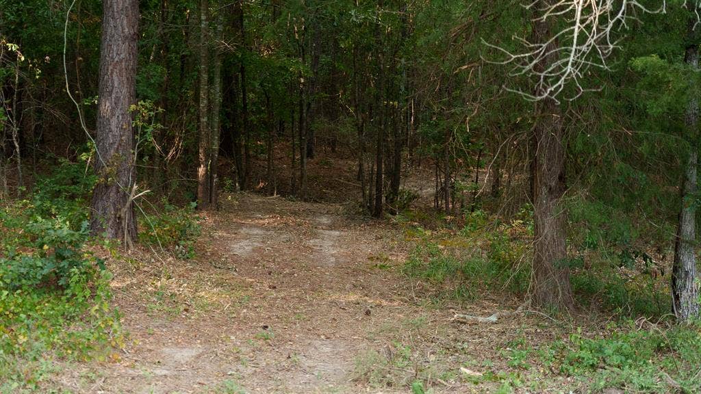 TBD CR 246 S, Tyler, TX 75705 TBD CR 246 S, Tyler, TX 75705