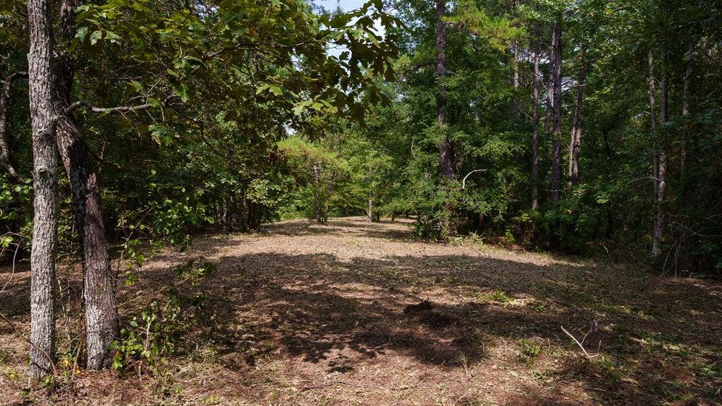 TBD CR 246 S, Tyler, TX 75705 TBD CR 246 S, Tyler, TX 75705