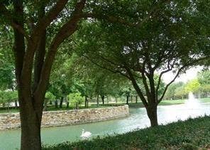 1152 Sophia Street, Allen, TX 75013 1152 Sophia Street, Allen, TX 75013