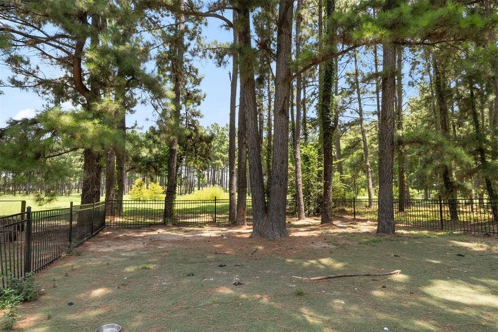 Fenced in pet area