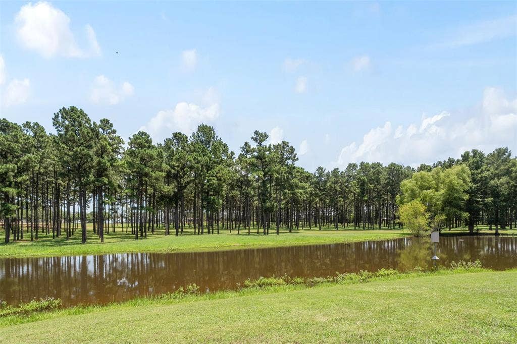 View of pond from backyard