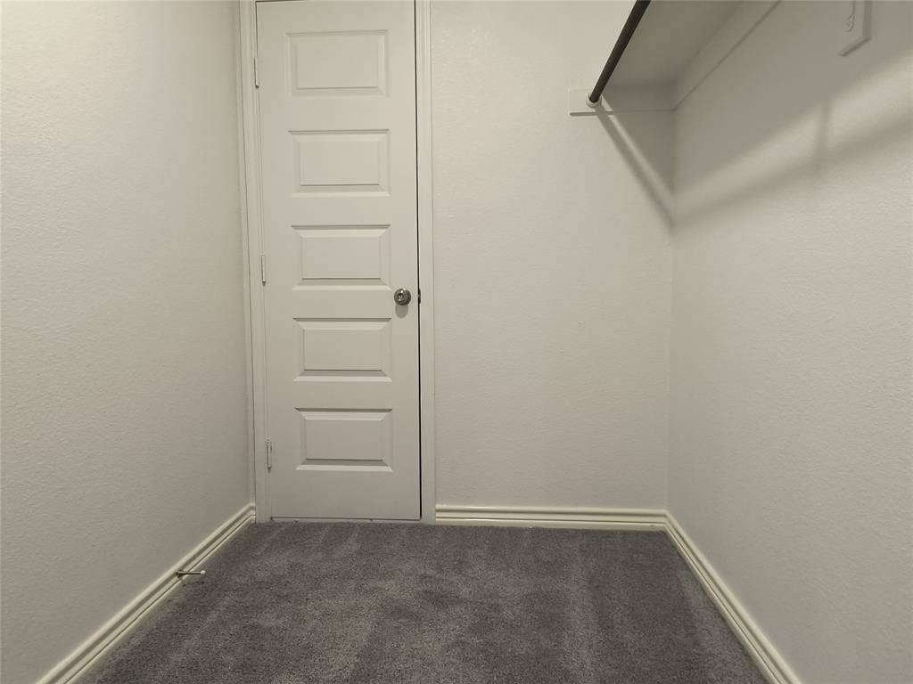 Walk-in closet featuring plush gray carpeting, white painted walls, a five-panel interior door, and a built-in clothing rod with shelving