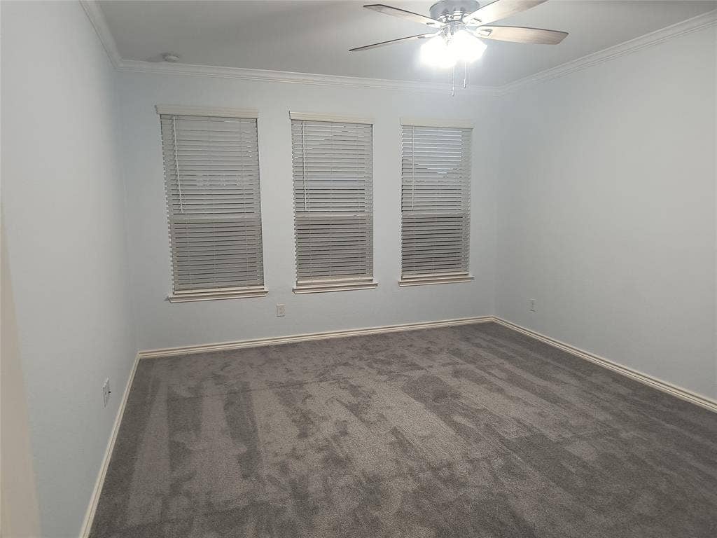 Spacious room featuring light gray walls, gray carpet, and three windows with blinds