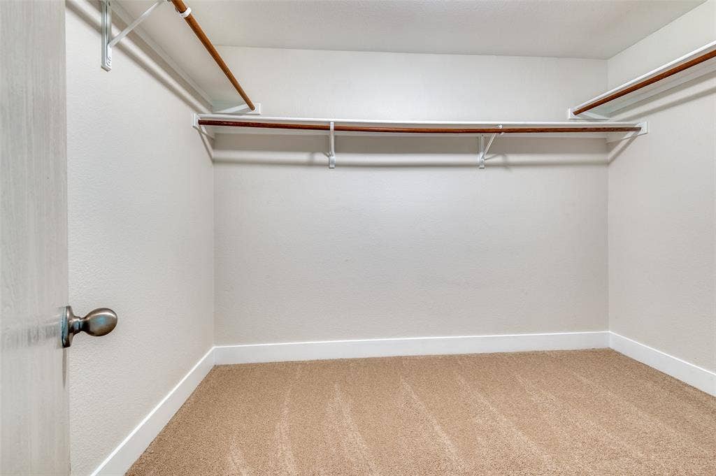 Spacious walk-in closet featuring light beige carpeting, white walls, and multiple clothes rods with shelves