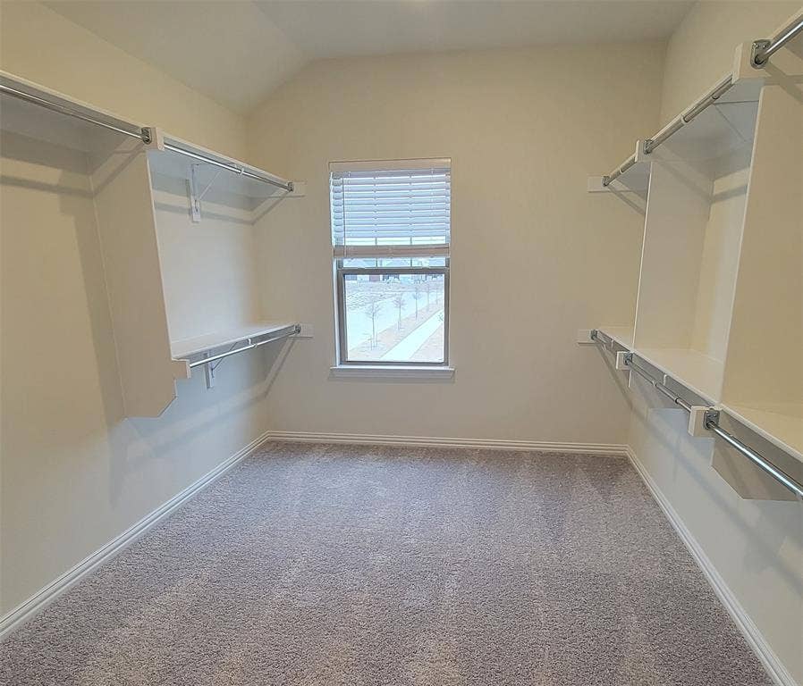 11346 Sugarlands Drive, Frisco, TX 75035 Spacious closet featuring wall-mounted shelving, integrated hanging rods, a window with blinds, light-toned carpeting, and a neutral wall color