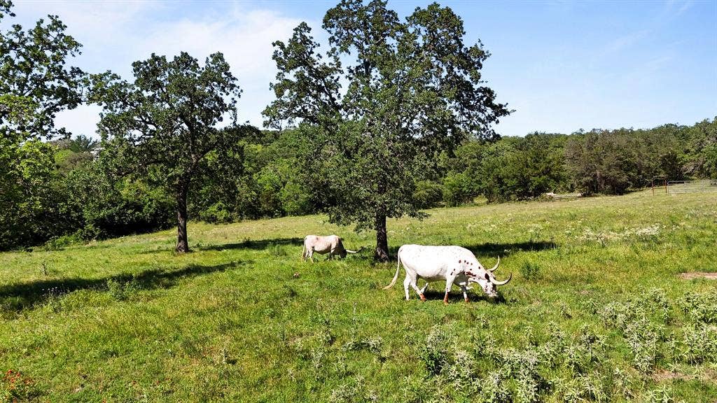156 PR 3626, Springtown, TX 76082 156 PR 3626, Springtown, TX 76082