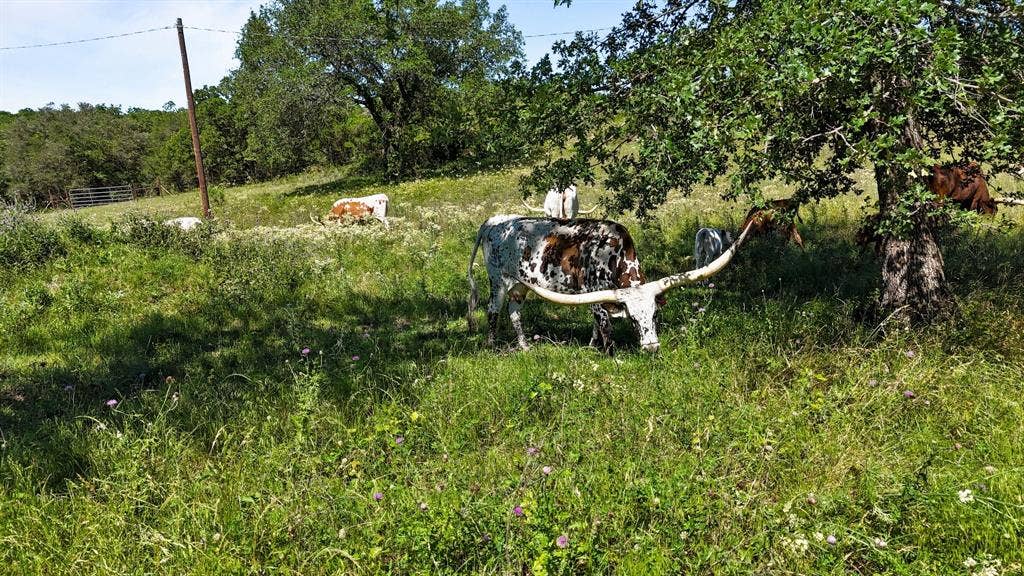 156 PR 3626, Springtown, TX 76082 156 PR 3626, Springtown, TX 76082