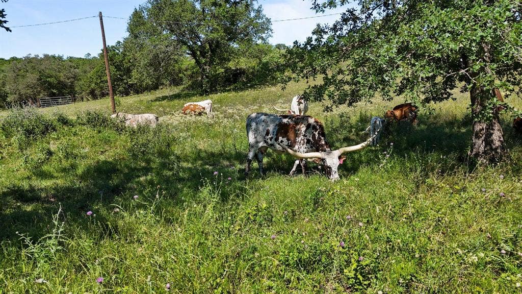 156 PR 3626, Springtown, TX 76082 156 PR 3626, Springtown, TX 76082