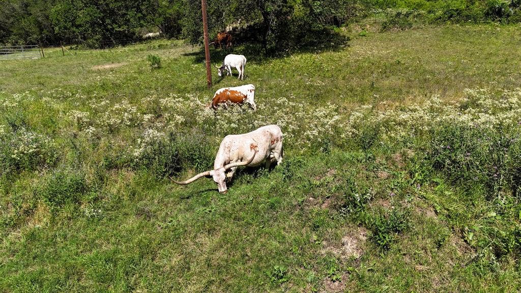 156 PR 3626, Springtown, TX 76082 156 PR 3626, Springtown, TX 76082