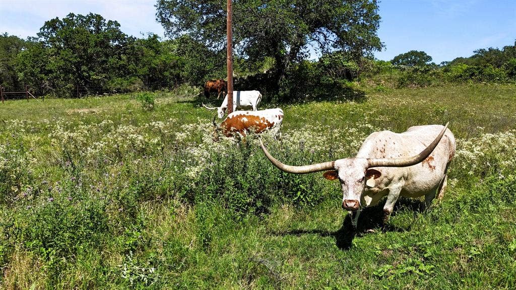 156 PR 3626, Springtown, TX 76082 156 PR 3626, Springtown, TX 76082