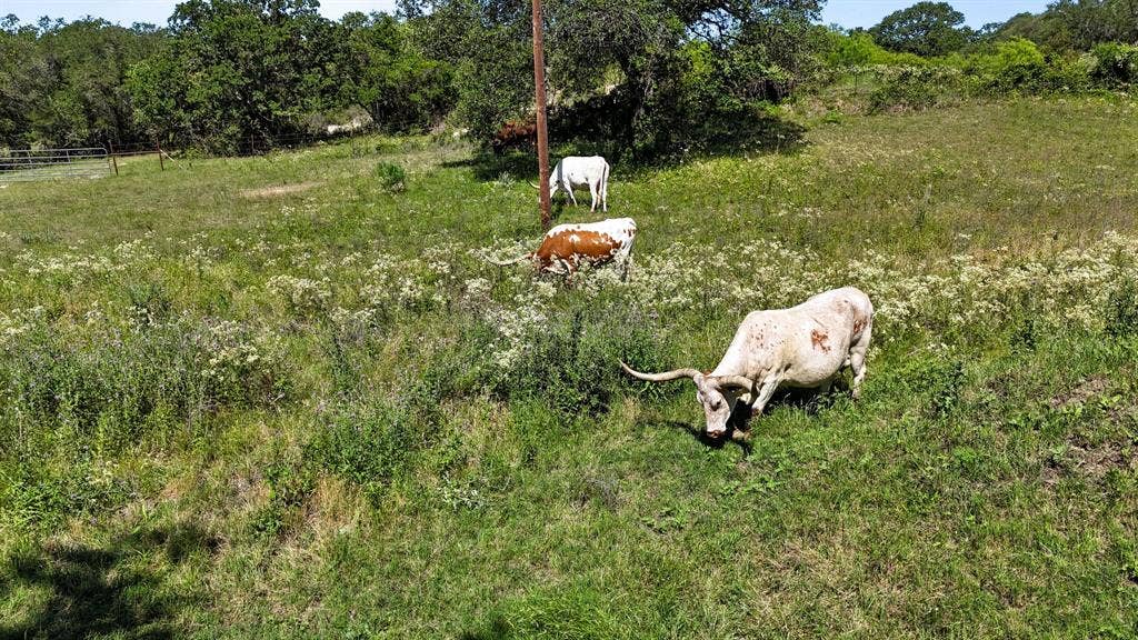 156 PR 3626, Springtown, TX 76082 156 PR 3626, Springtown, TX 76082