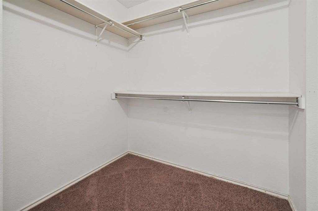 Walk-in closet featuring white painted walls, brown carpet, and multiple shelving and hanging rod configurations