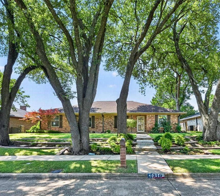 3310 Raintree Drive, Plano, TX 75074 Majestic trees