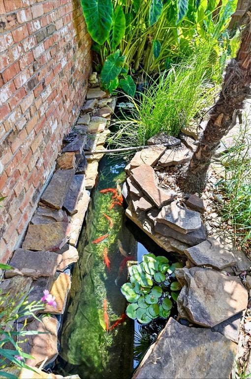 3310 Raintree Drive, Plano, TX 75074 Charming koi pond with colorful koi, lush landscaping, and a tranquil waterfall creates a peaceful backyard escape