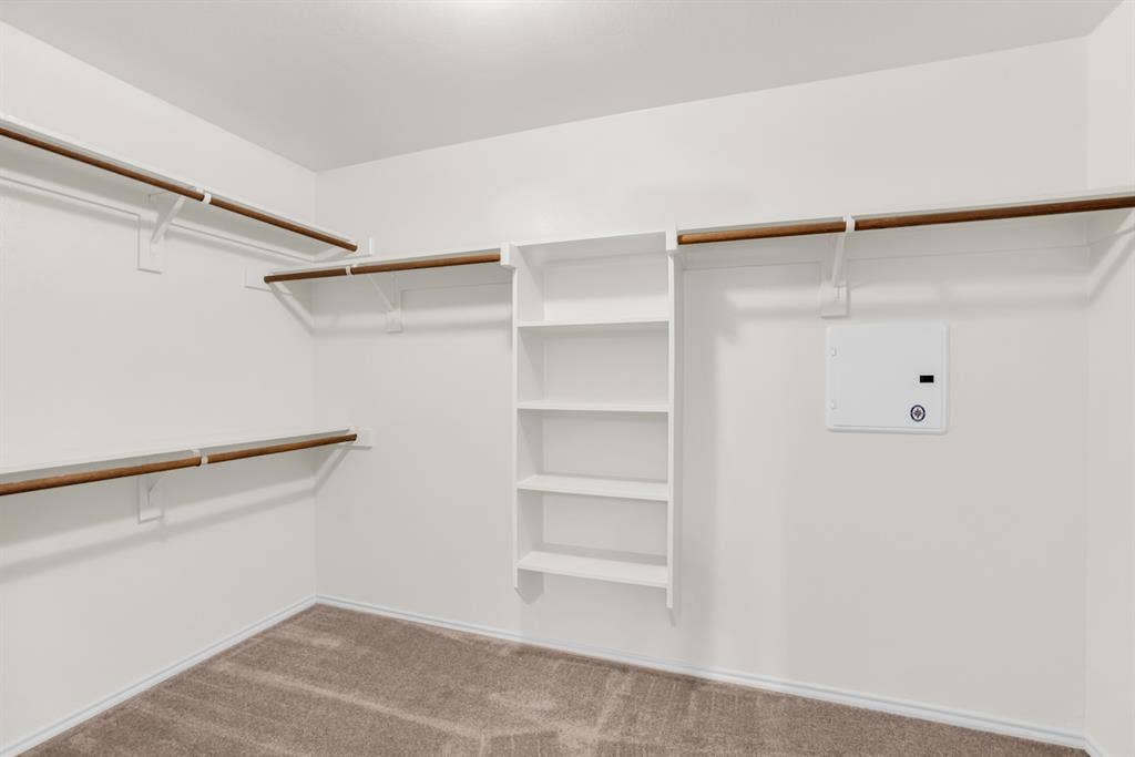 805 Andrews Court, Anna, TX 75409 Walk-in closet with carpet flooring, white walls, built-in shelving, and multiple hanging rods