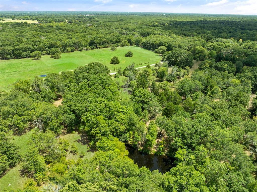 Aerial view of pond