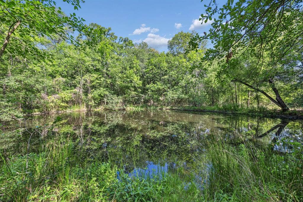 Ground view of the pond