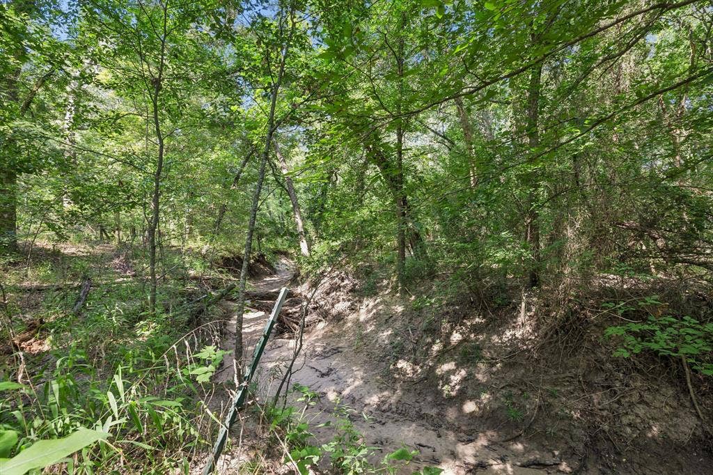 Creek